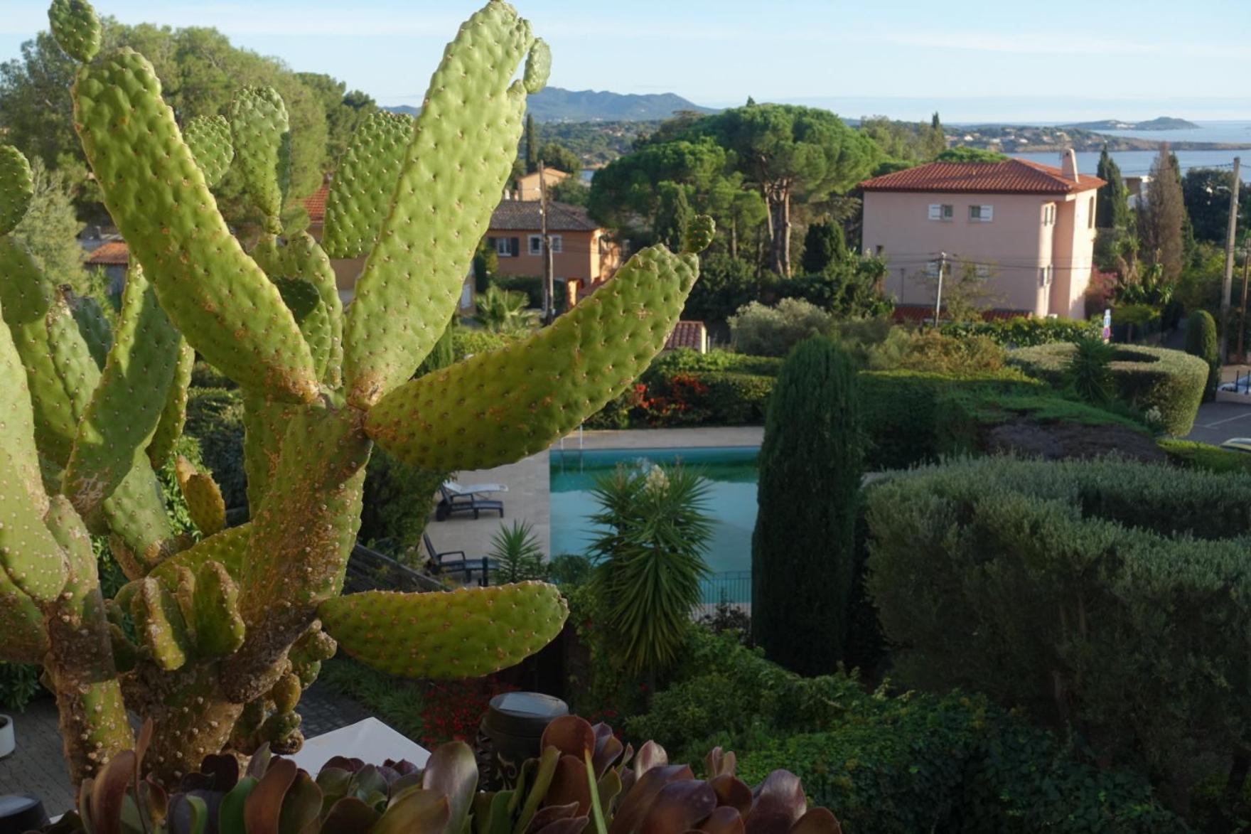 Les Jardins De Bandol, Piscine Privee, Belle Vue Mer Exterior foto